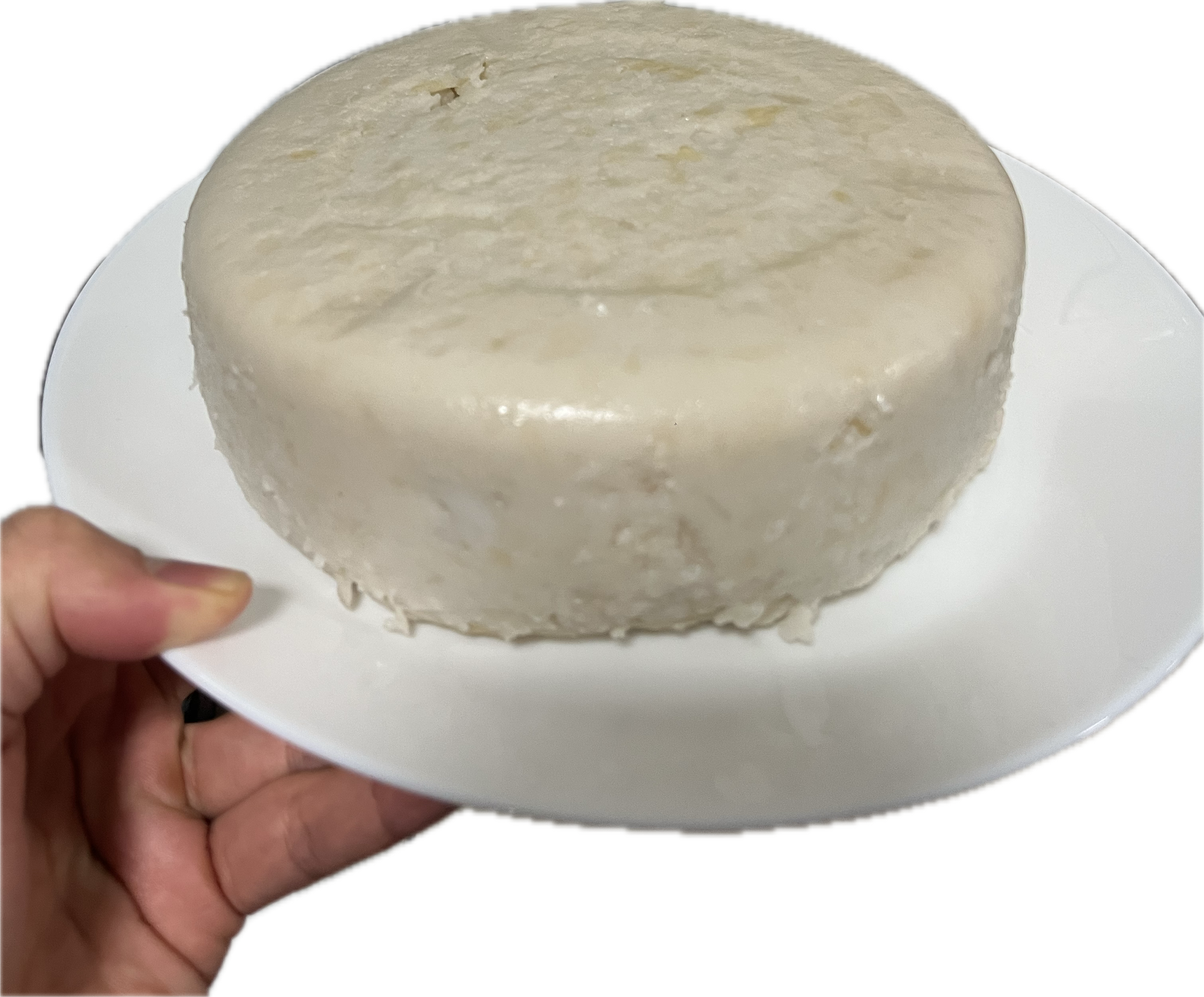 Radish Cake-finish